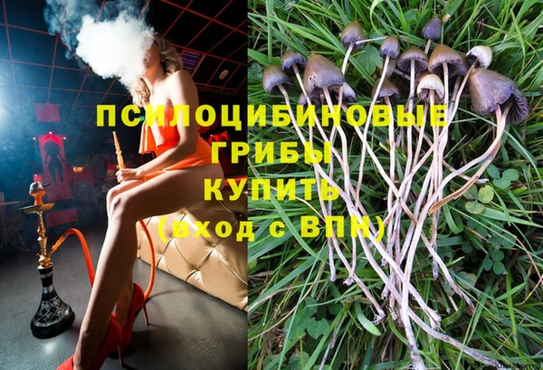 a pvp Белоозёрский