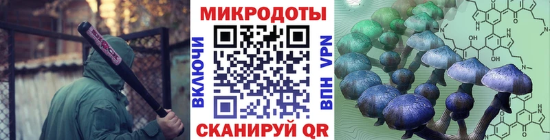 Псилоцибиновые грибы Psilocybine cubensis Реутов